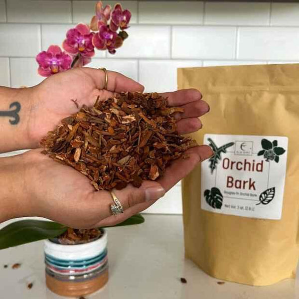 🌿 Douglas Fir Orchid Bark – Premium Growing Medium for Orchids & Epiphytic Plants