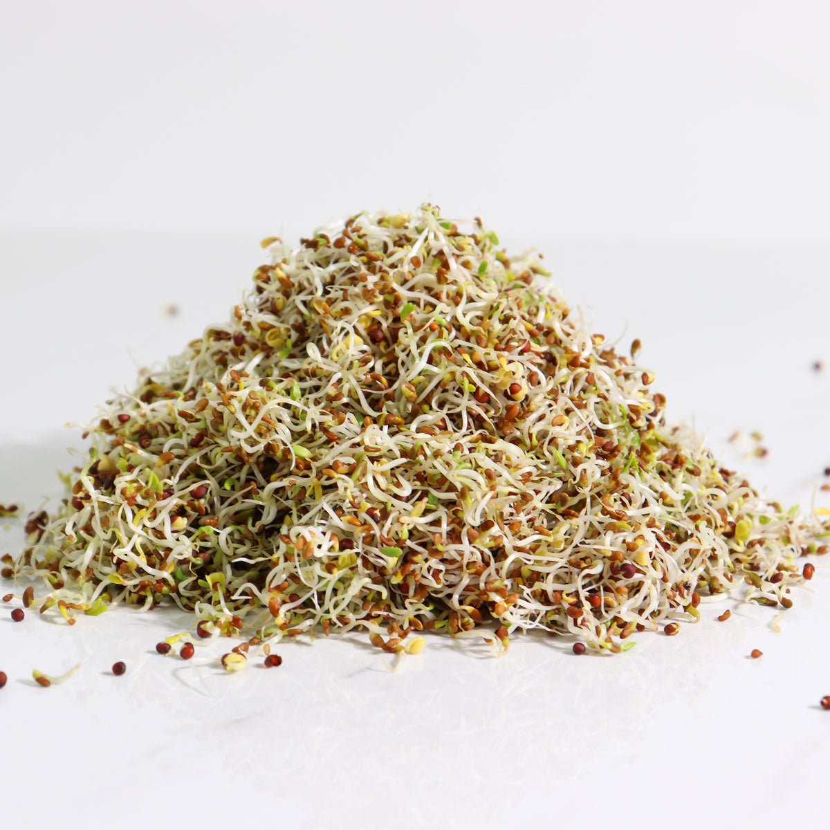 Organic Alfa-Broc sprouting seed by Sproutman, a Massachusetts brand