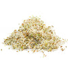 Organic Alfalfa Sprouting Seed sprouting seed pack by Sproutman