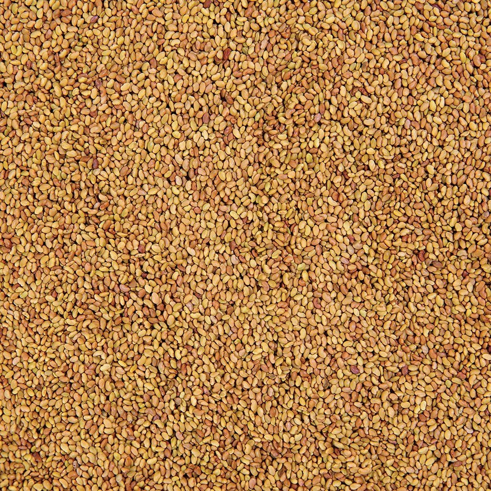 Organic Alfalfa Sprouting Seed from Sproutman, product detail image