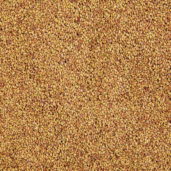 Organic Alfalfa Sprouting Seed from Sproutman, product detail image
