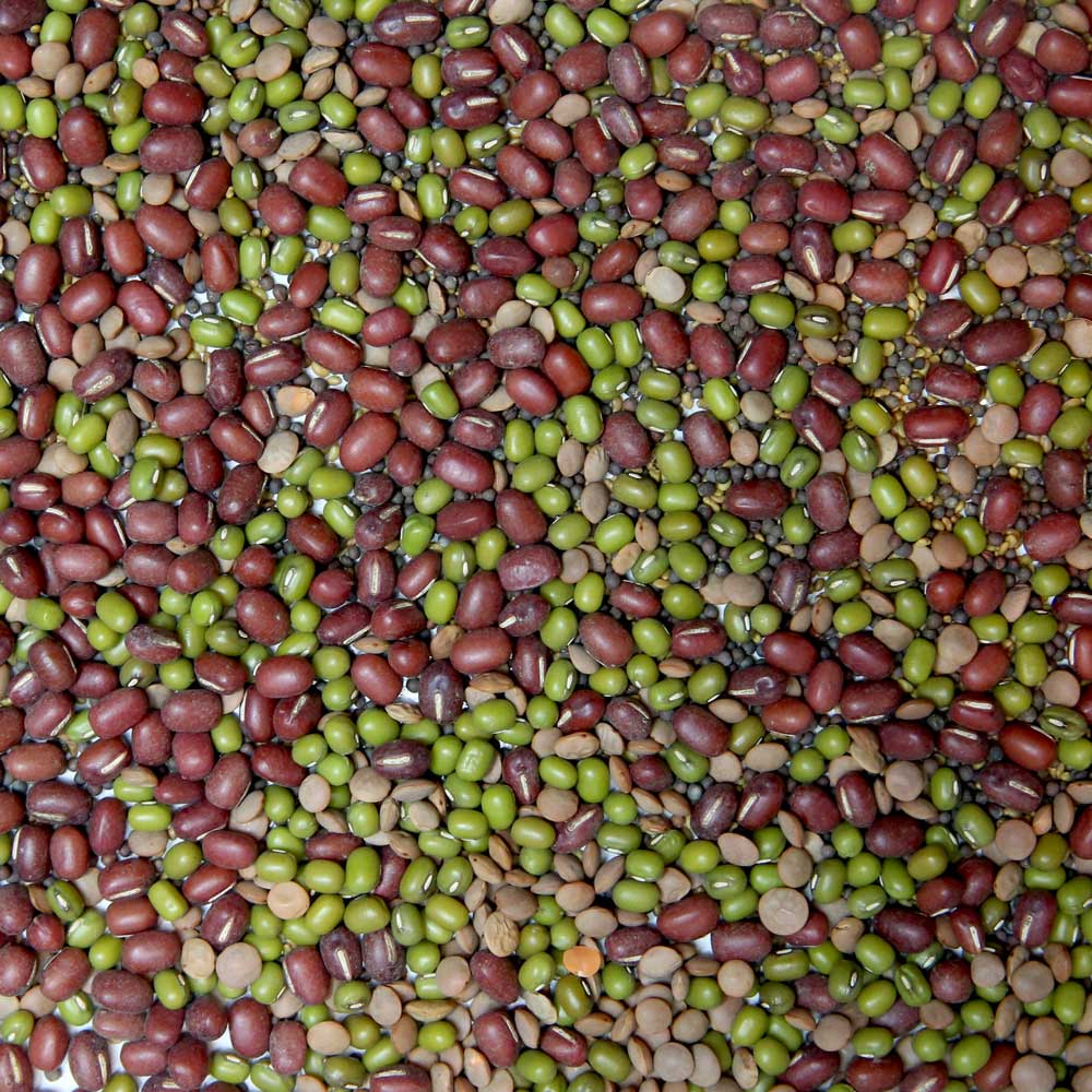 Sproutman Organic Beans + Greens Sprouting Seed mix of alfalfa, broccoli, adzuki beans, red lentils and mung beans