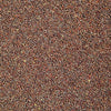 Sproutman Organic Broccoli Sprouting Seed shown for home sprouting