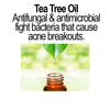 Organic Acne Serum – Oil Control, Pore Clearing & Clear Skin Treatment