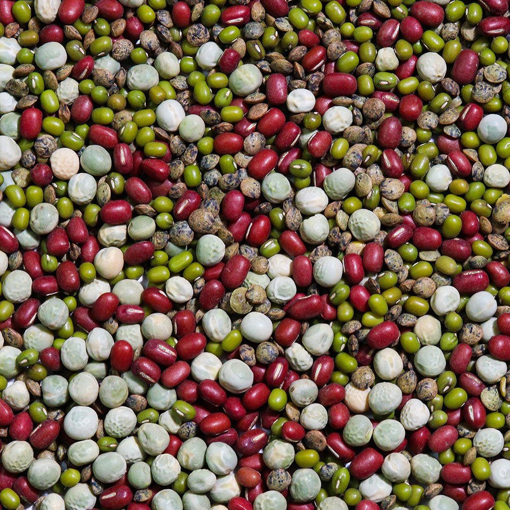 Sproutman Organic Crunch Time Sprouting Seed product detail