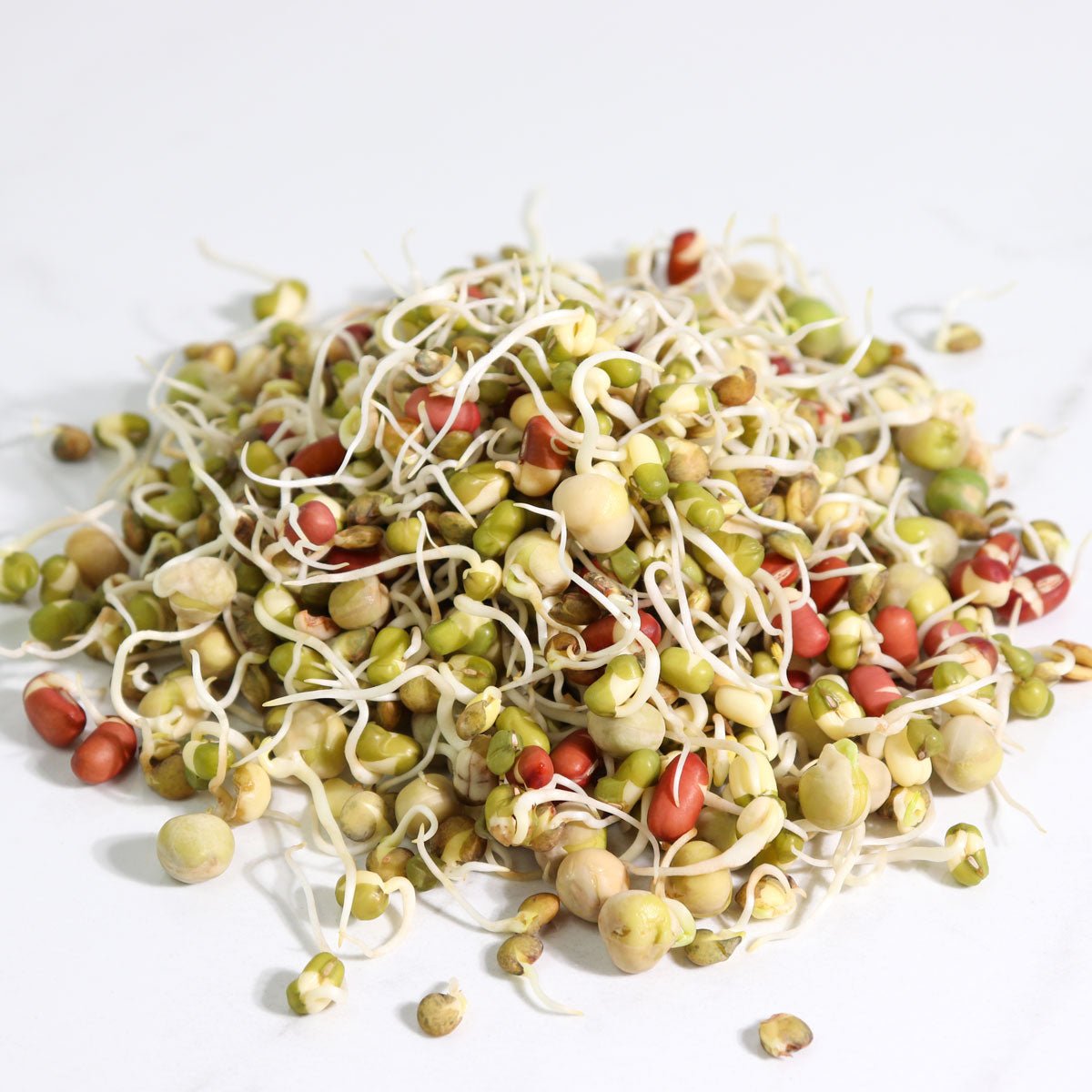 Organic Crunch Time Sprouting Seed from Sproutman, additional product view
