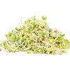 Organic Radish Sprouting Seed from Sproutman, close-up product view