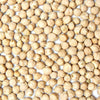 Organic garbanzo bean sprouting seed, Sproutman sprouting seed for home growing