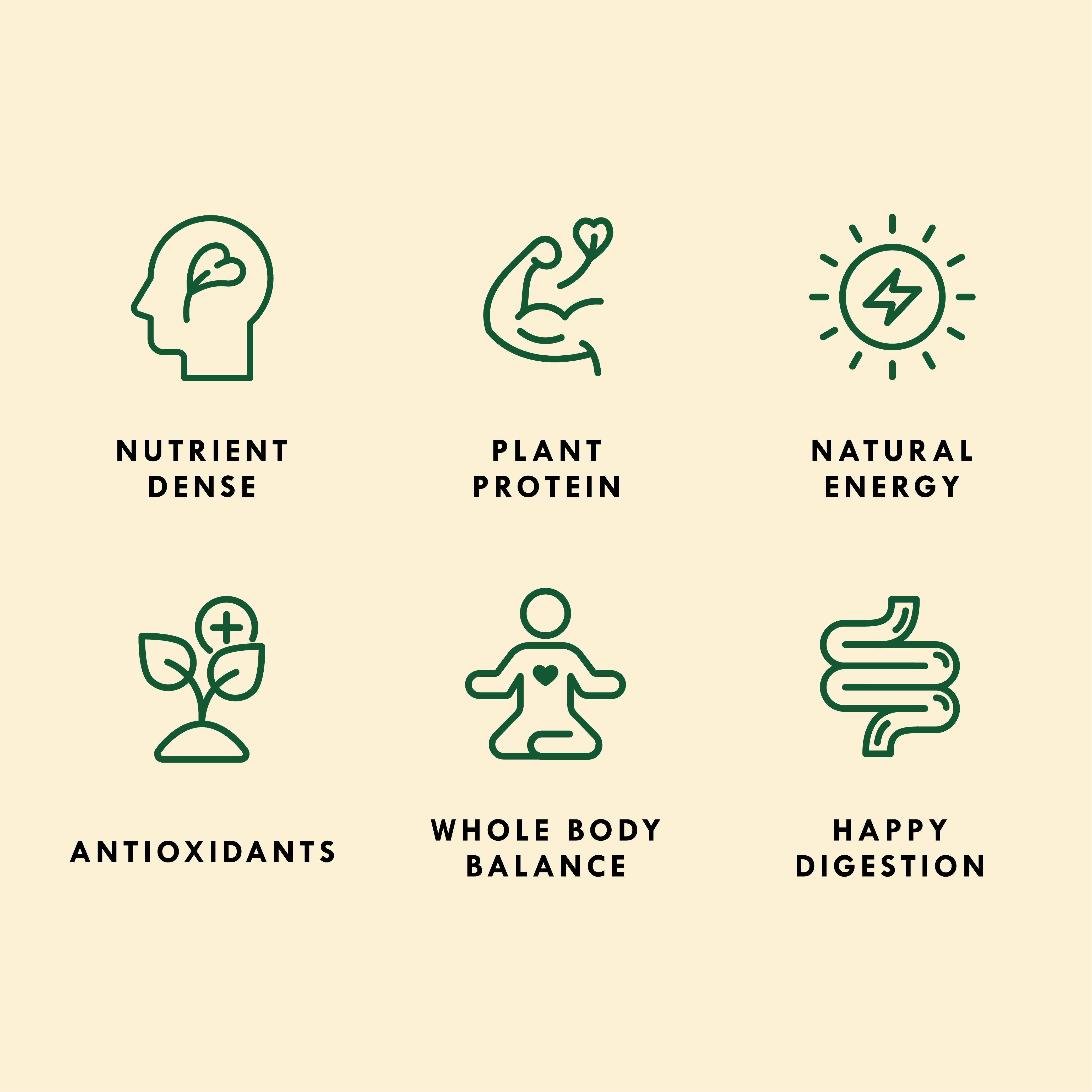 Organic Lentil Sprouting Seed for Home Sprouting | Sproutman