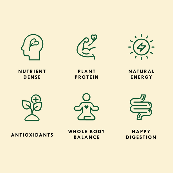 Organic Lentil Sprouting Seed for Home Sprouting | Sproutman