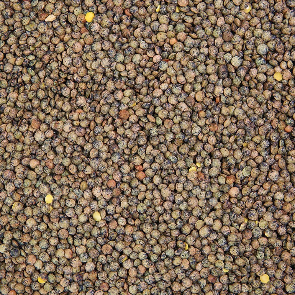 Organic Lentil Sprouting Seed from Sproutman, additional product photo