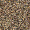 Organic Lentil Sprouting Seed from Sproutman, additional product photo