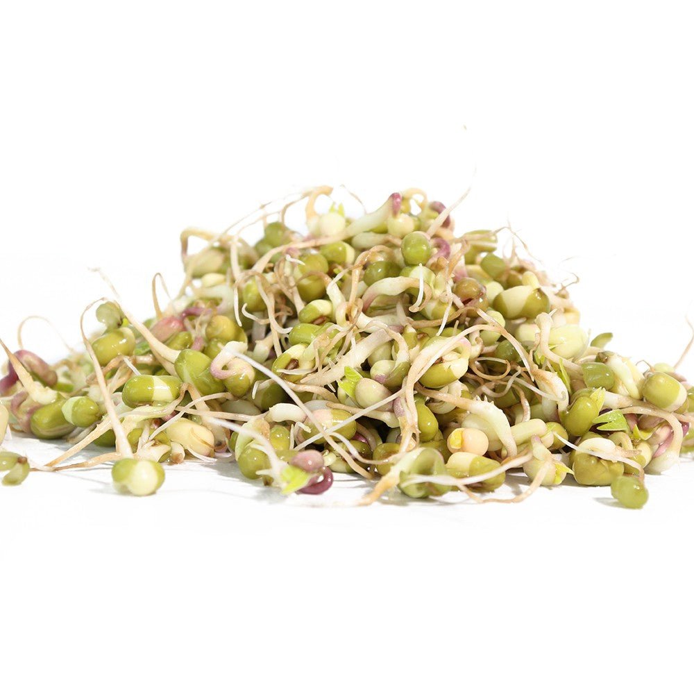 Organic Mung Bean Sprouting Seed from Sproutman, product image 4