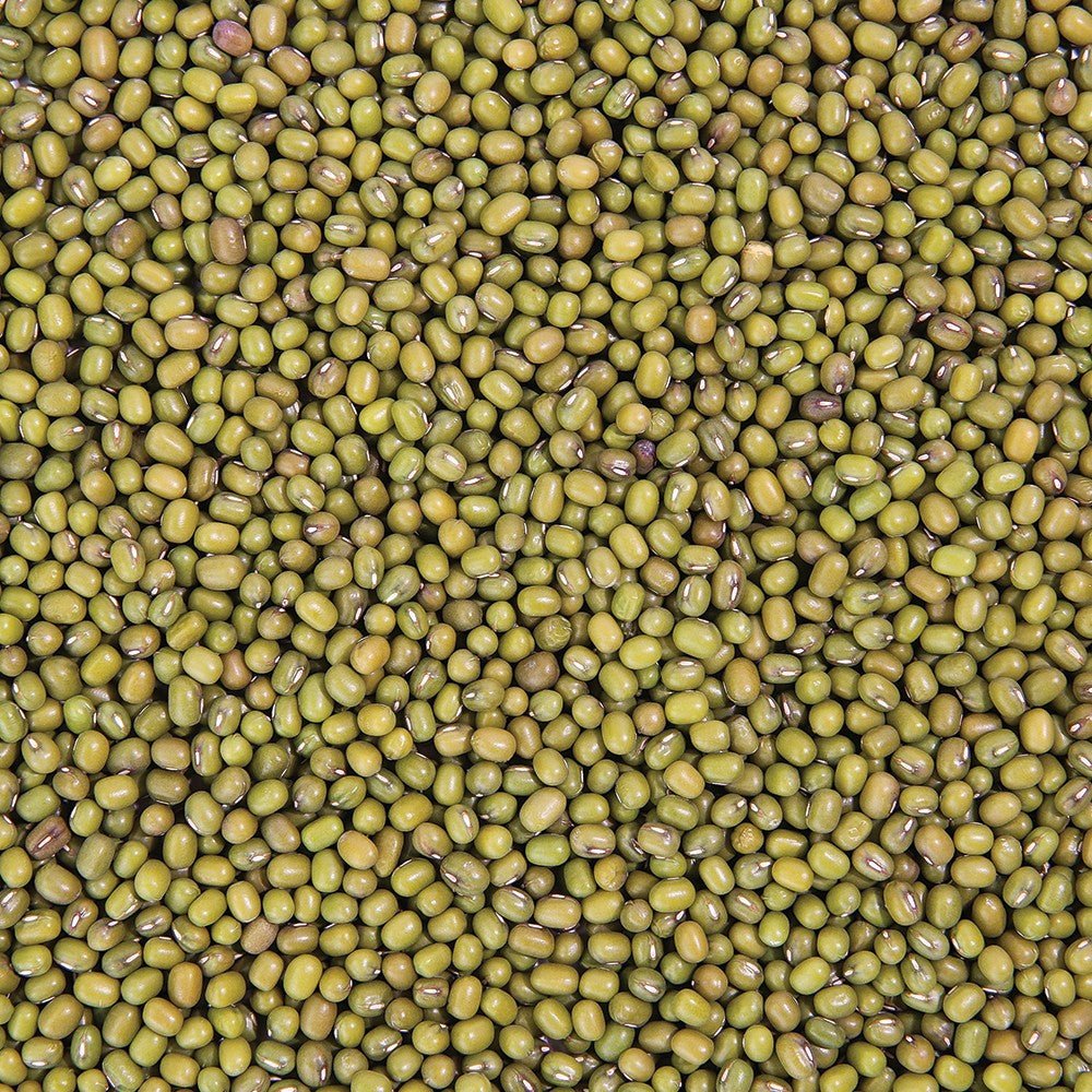 Organic Mung Bean Sprouting Seed from Sproutman, product image 3