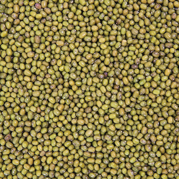 Organic Mung Bean Sprouting Seed from Sproutman, product image 3