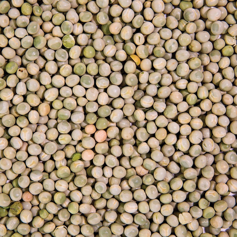 Organic Pea Sprouting Seed from Sproutman, third product image