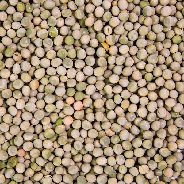 Organic Pea Sprouting Seed from Sproutman, third product image