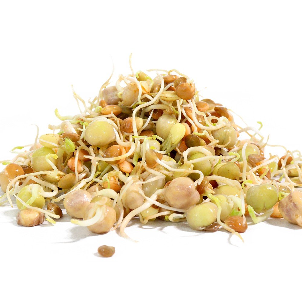 Sproutman Organic Power Protein Sprouting Seed, product detail