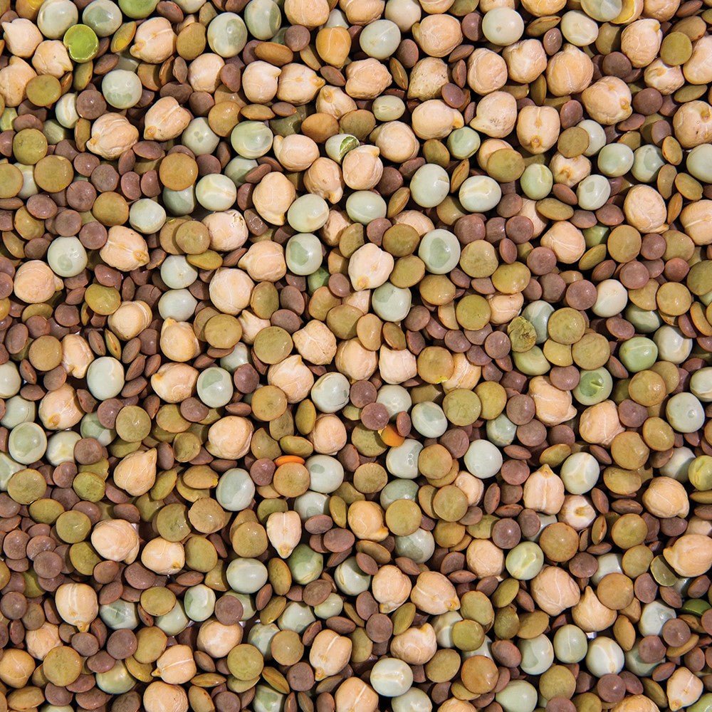 Organic Power Protein Sprouting Seed from Sproutman, close-up of the product