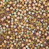 Organic Power Protein Sprouting Seed from Sproutman, close-up of the product