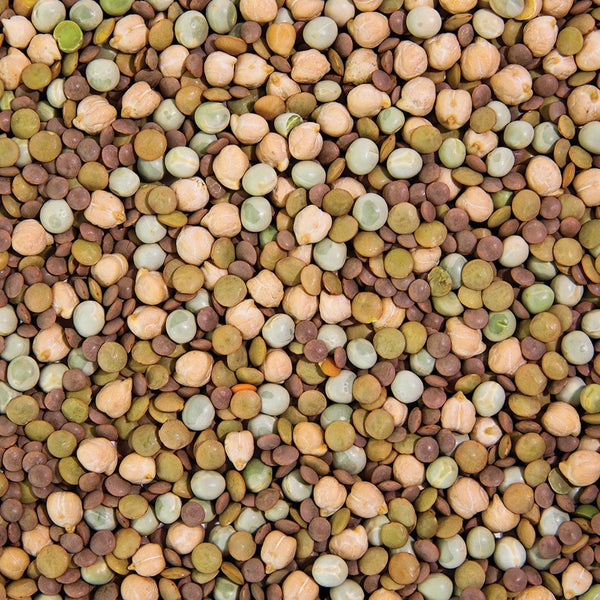 Organic Power Protein Sprouting Seed from Sproutman, close-up of the product