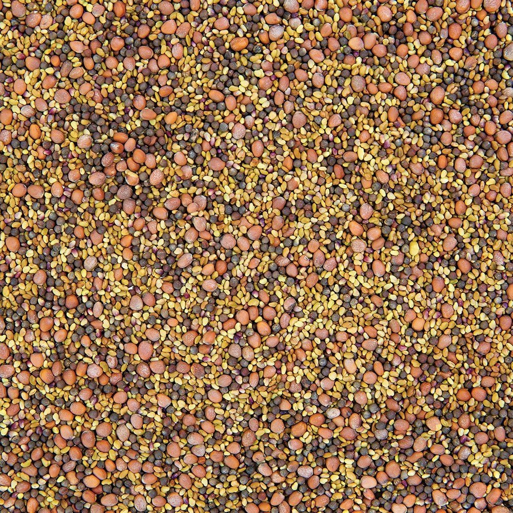 Organic Salad Mix Sprouting Seed from Sproutman, product image 3