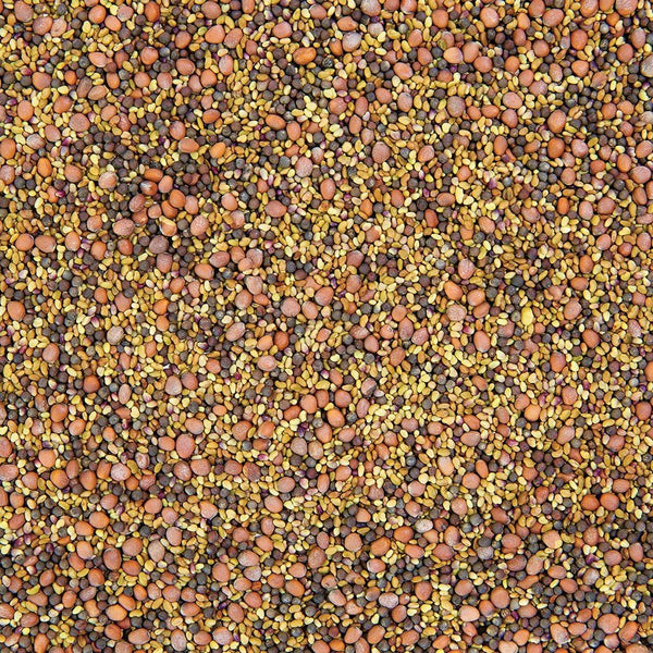 Organic Salad Mix Sprouting Seed from Sproutman, product image 3