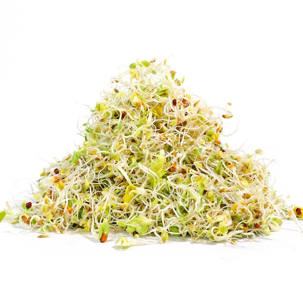 Organic Salad Mix Sprouting Seed from Sproutman, product image 4