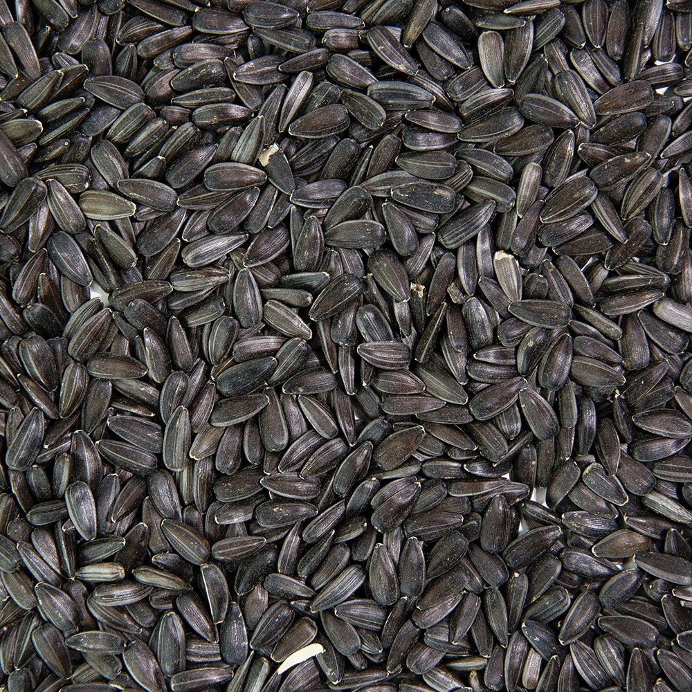 Organic Sunflower Sprouting Seed from Sproutman, product detail image