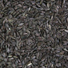 Organic Sunflower Sprouting Seed from Sproutman, product detail image