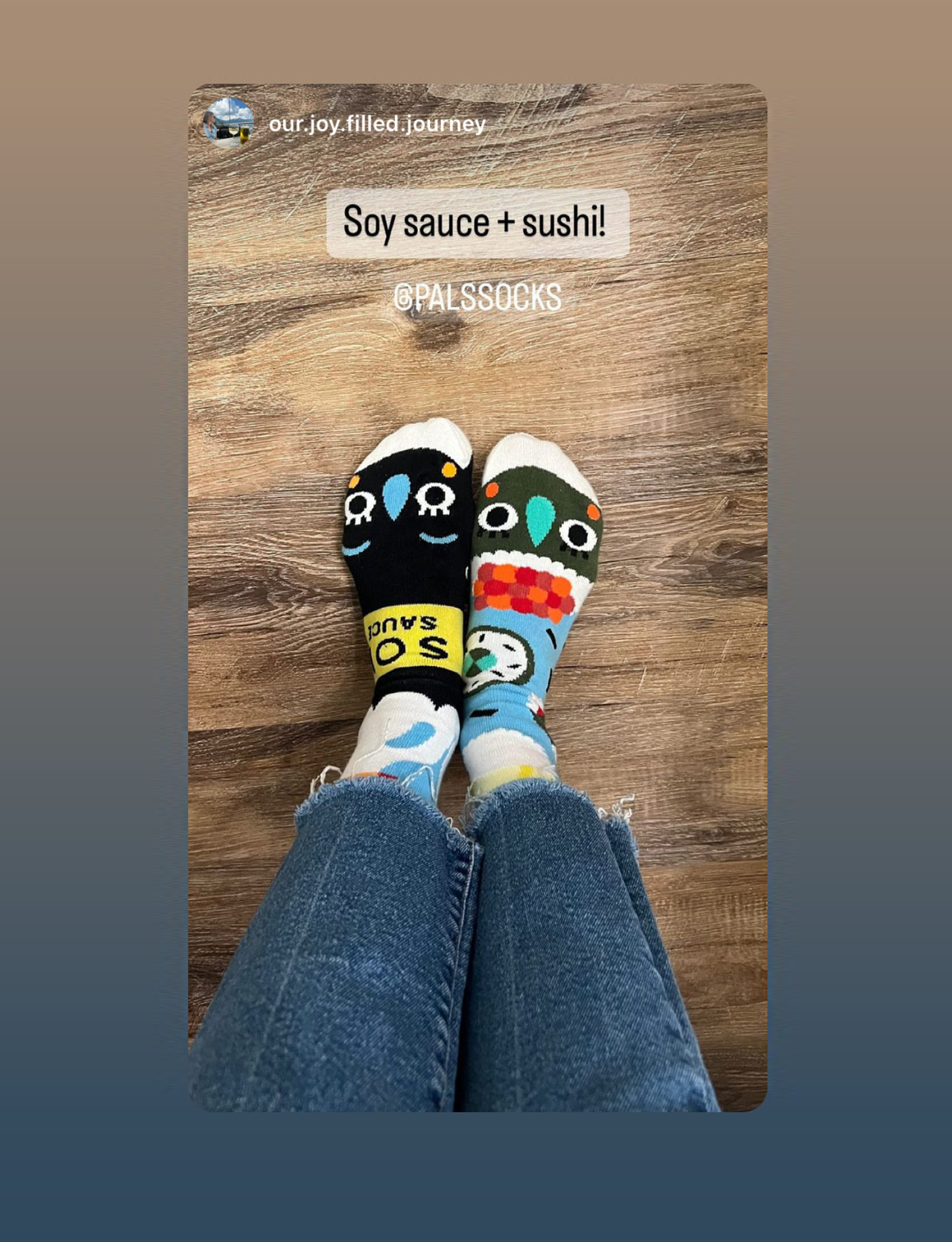 ADULT SUSHI & SOY SAUCE SOCKS