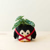 Penguin-shaped planter with a plant on a light background