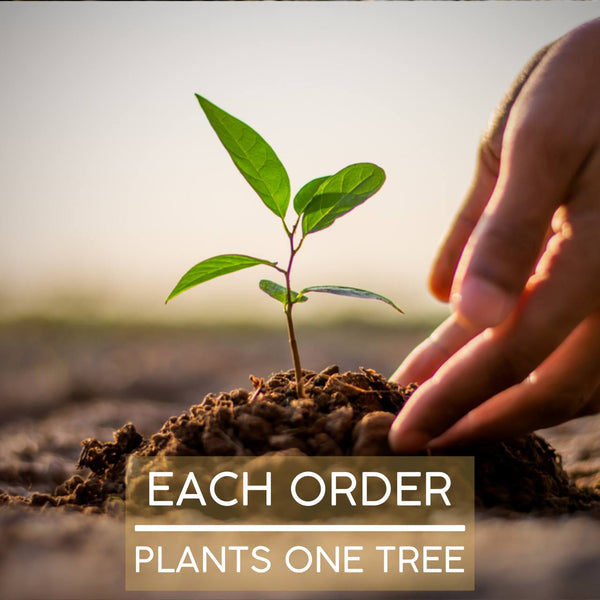 Hand planting a small tree苗 with text 'Each order plants one tree' on a blurred natural background