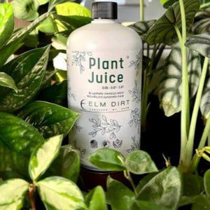 Elm Dirt Plant Juice bottle surrounded by lush green houseplants