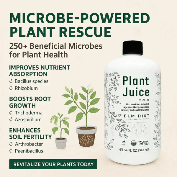 Bottle of Plant Juice with text about microbe-powered plant rescue on a beige background