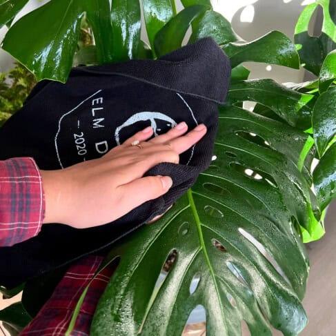 Plant Perfection - Spray