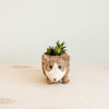 Fox-shaped planter with a small plant on a light background