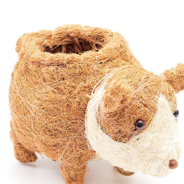 Coconut fiber dog-shaped planter on a white background