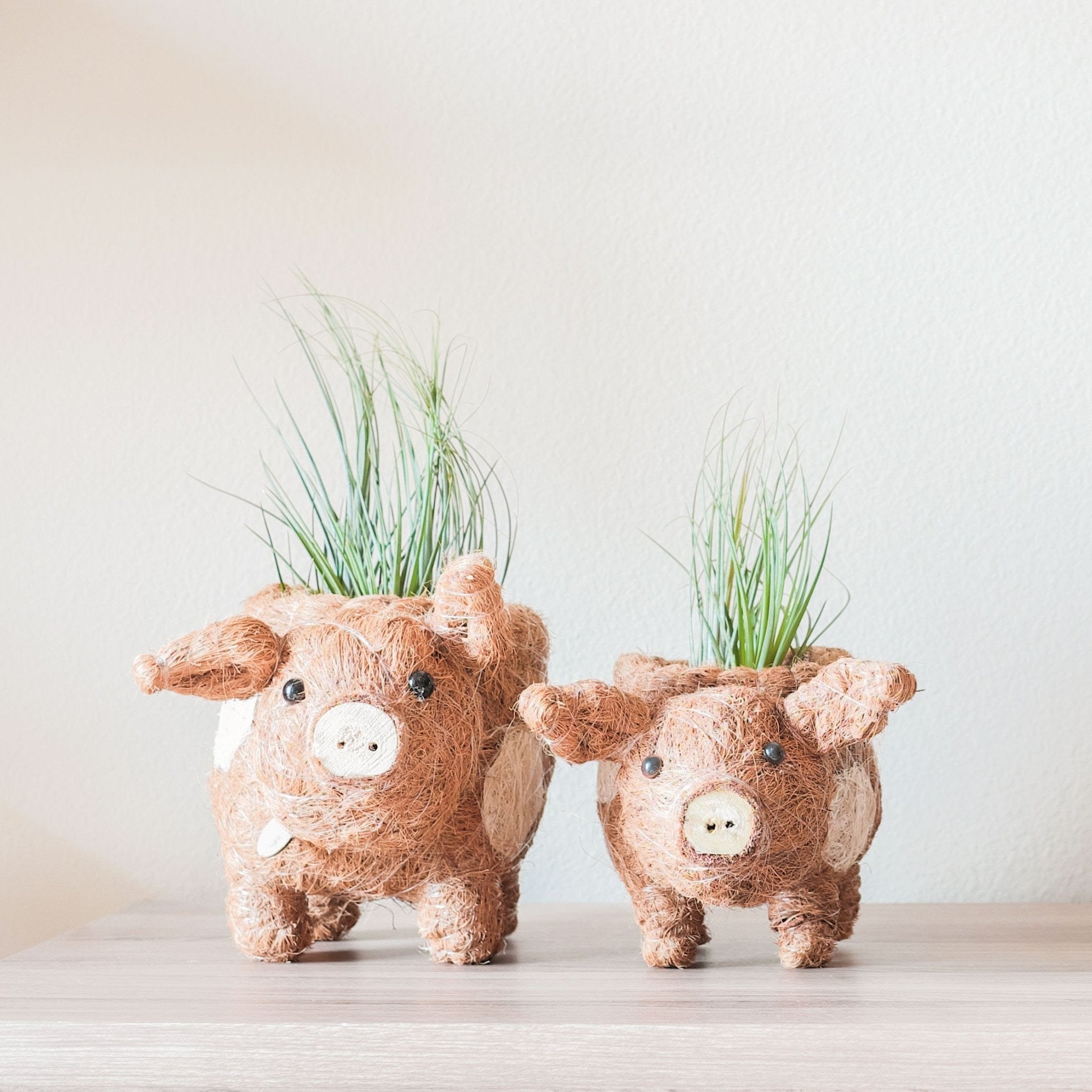 Two cow-shaped planters with grass on a light surface and white background
