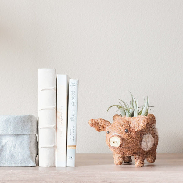 Pig-shaped planter with a plant on a wooden surface next to books