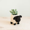Sheep-shaped plant pot with succulents on a wooden surface