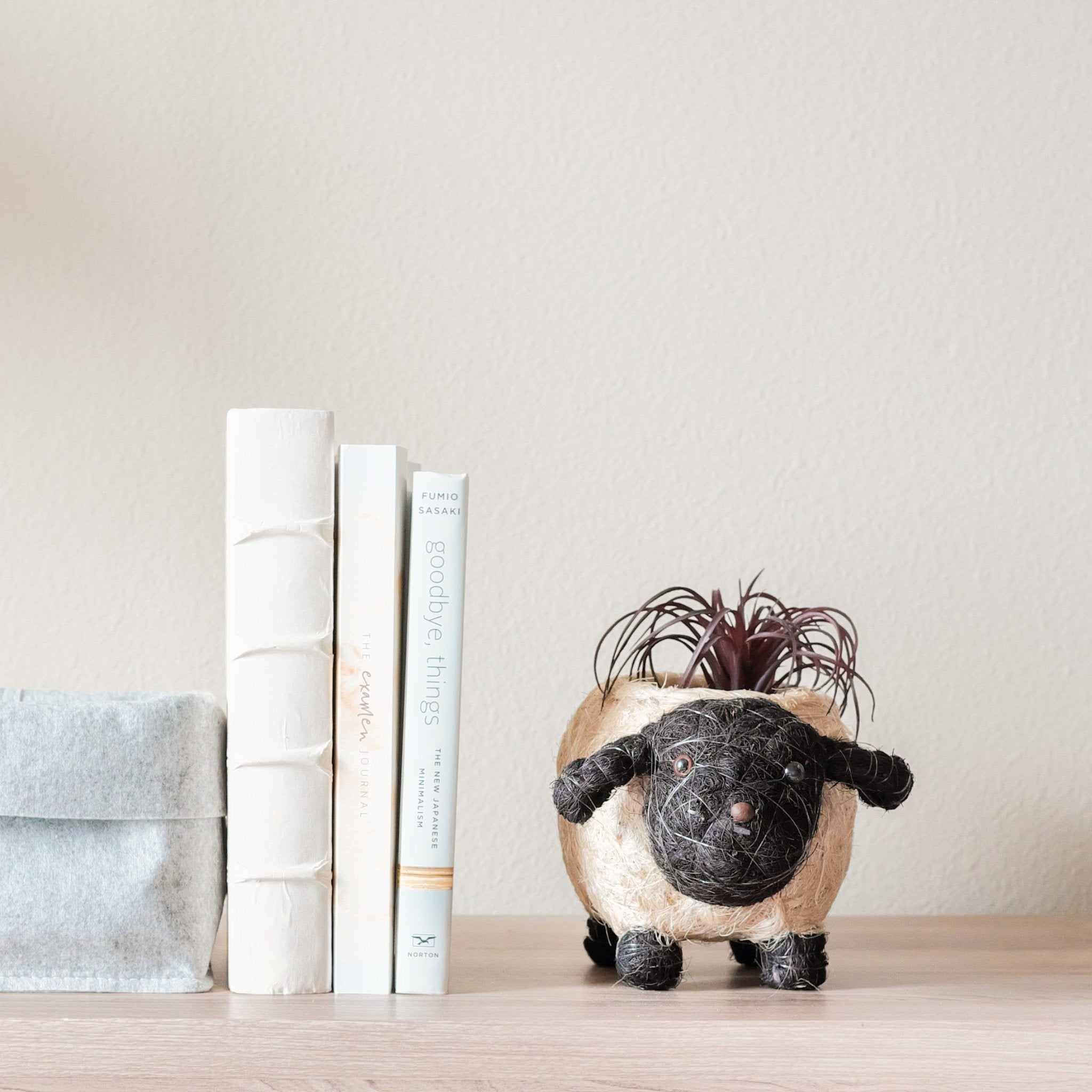 Sheep-shaped plant pot with a small plant on a wooden surface next to books.