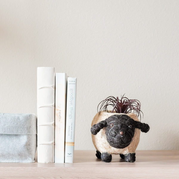 Sheep-shaped plant pot with a small plant on a wooden surface next to books.