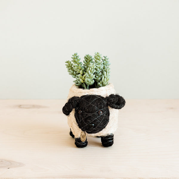 Baby Sheep Planter - Coco Coir Pots | LIKHÂ