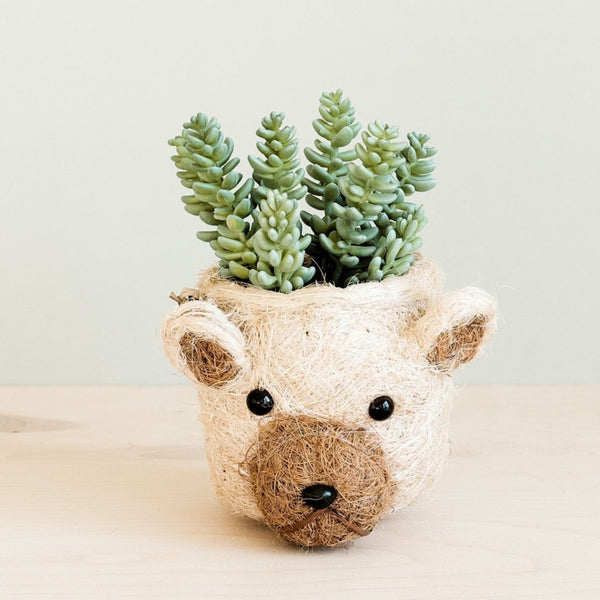 Handmade polar bear head planter made from natural coco coir, displayed with a small potted plant