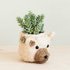 Eco-friendly bear animal head planter in natural and white coco coir, side profile view