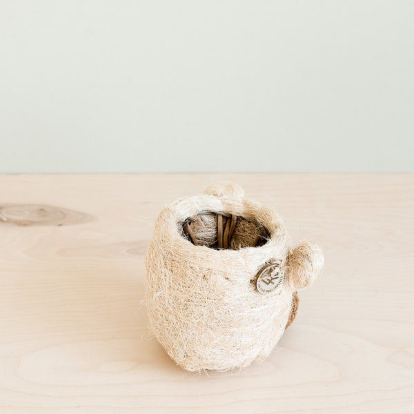 Close-up of handcrafted coco coir bear planter showing natural texture and white detailing