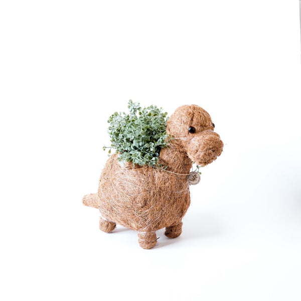 Decorative plant holder shaped like a dog with a plant on a white background