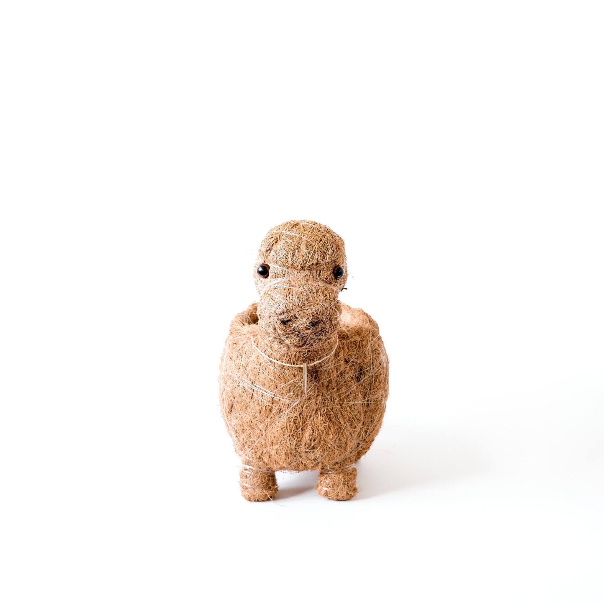 Coconut shell figurine of a seal on a white background
