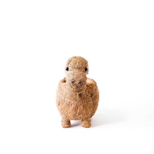 Coconut shell figurine of a seal on a white background